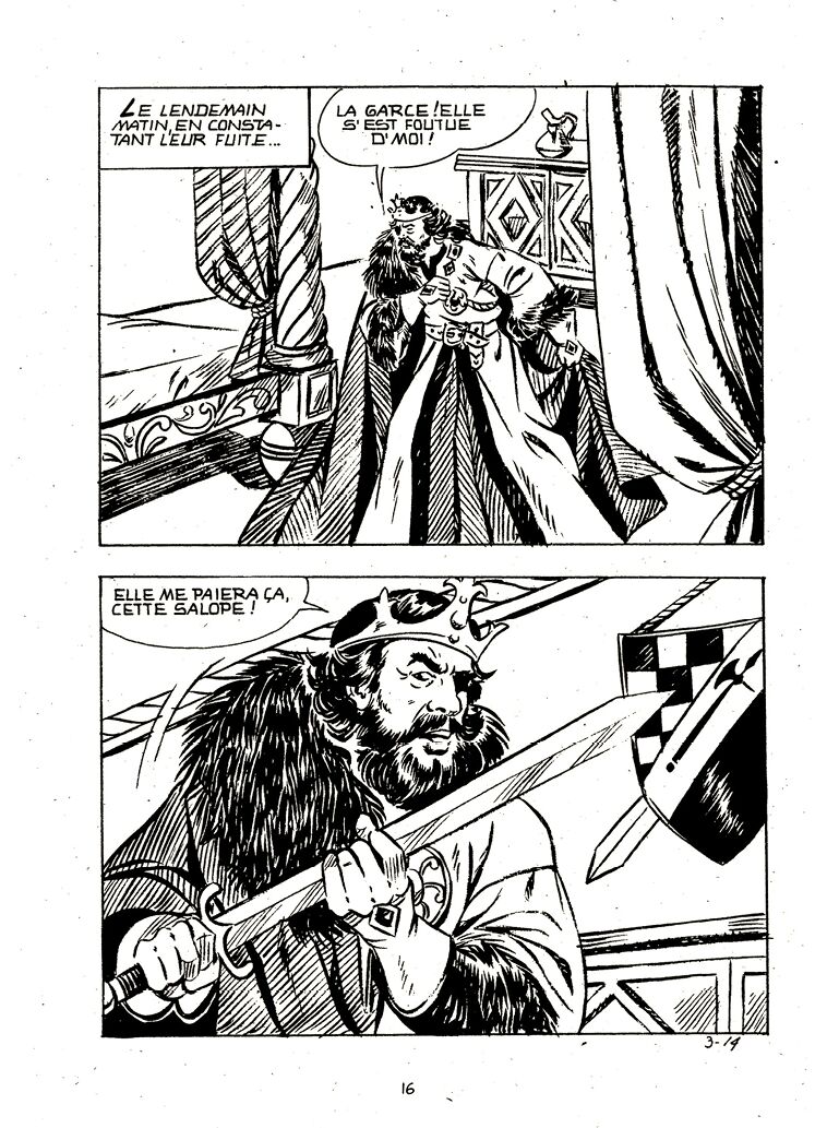 Joyeuses Story 003 - Le roi Arthur numero d'image 14