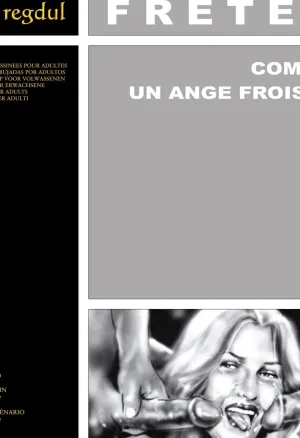 Alain Fretet - Comme un ange froisse