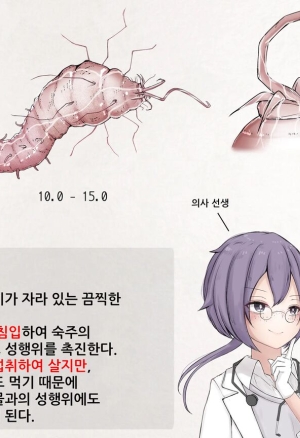 Mushi Research Report No.17