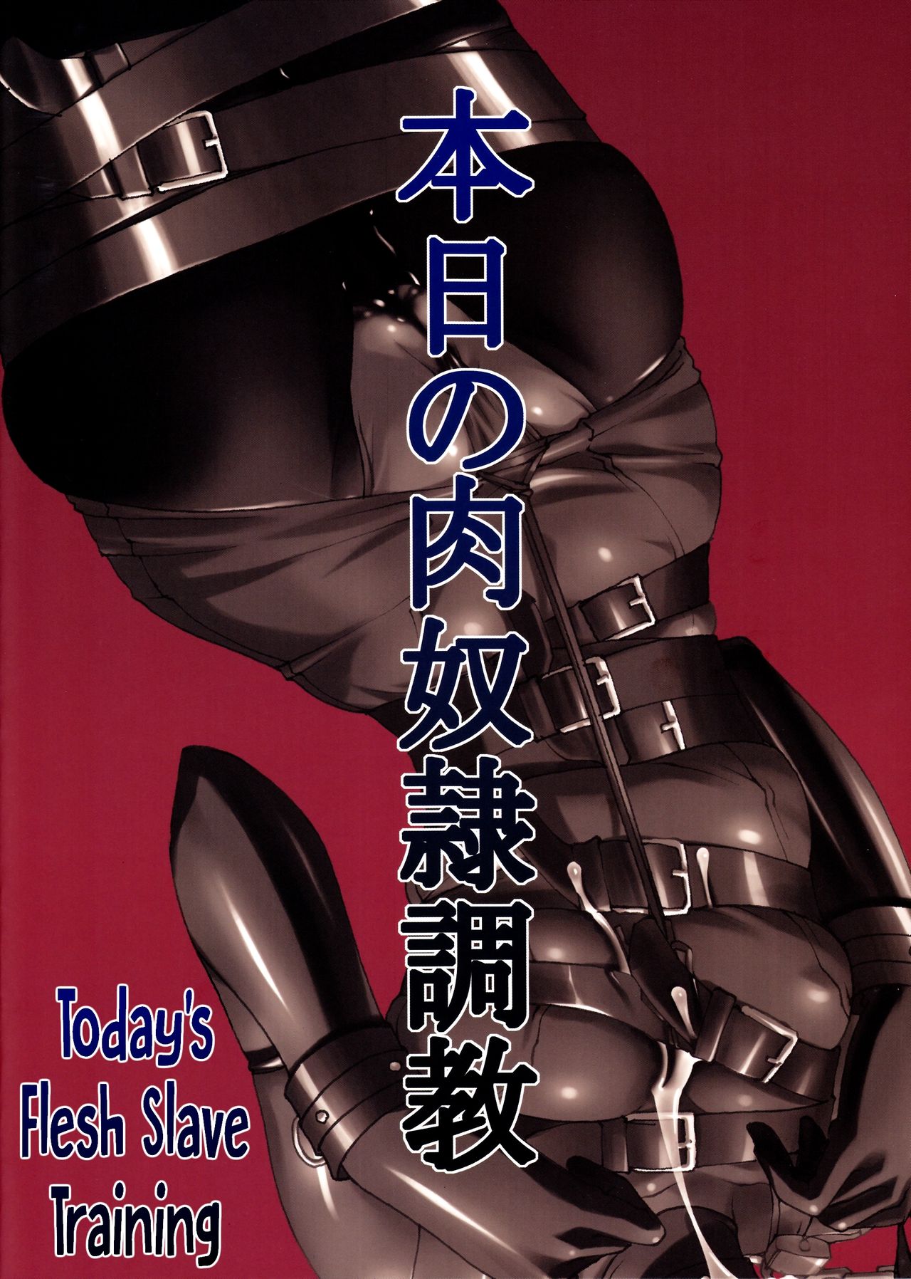 Honjitsu no Nikudorei Choukyou  Todays Flesh Slave Training numero d'image 17