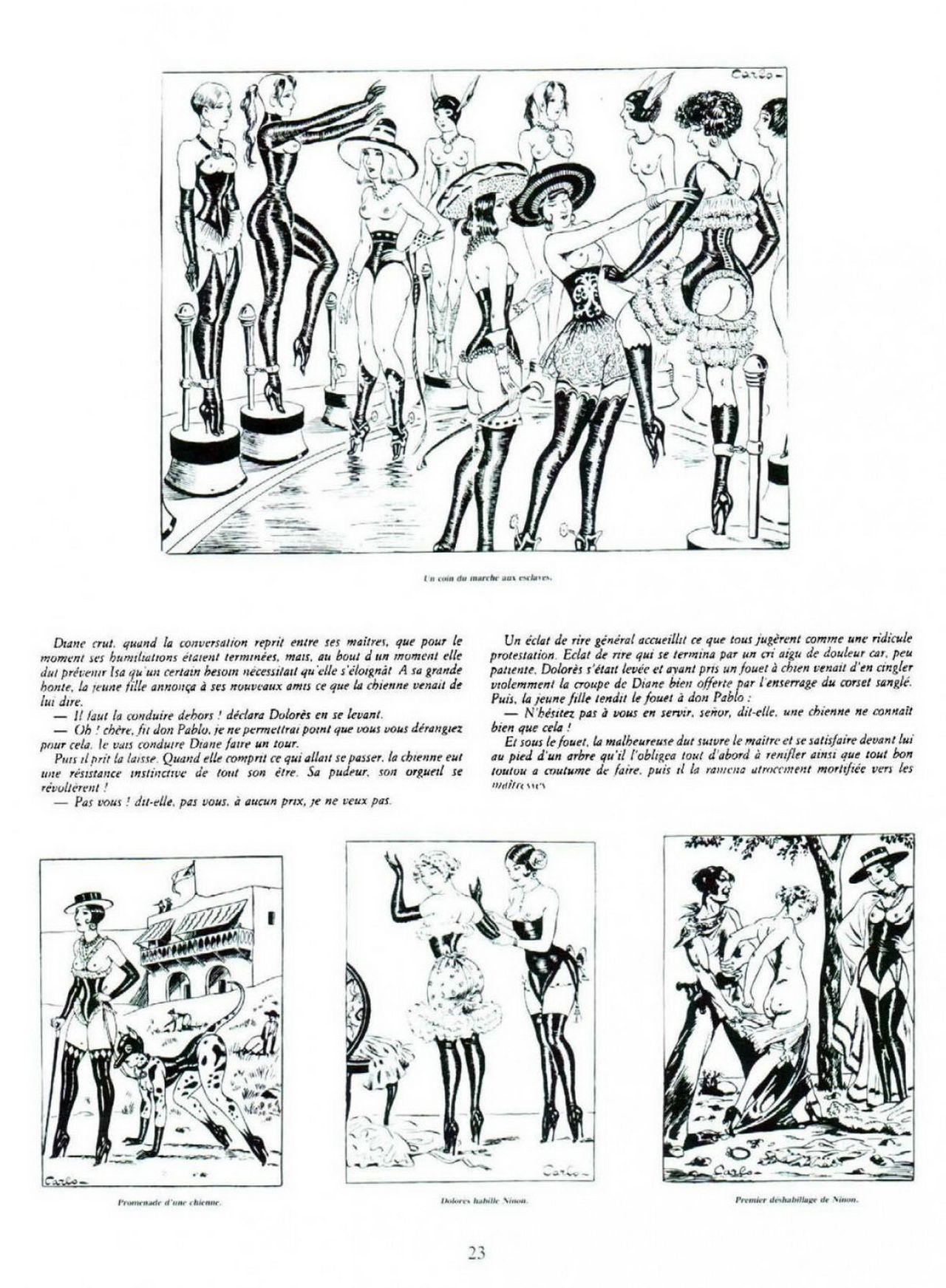 Carlõ numero d'image 24