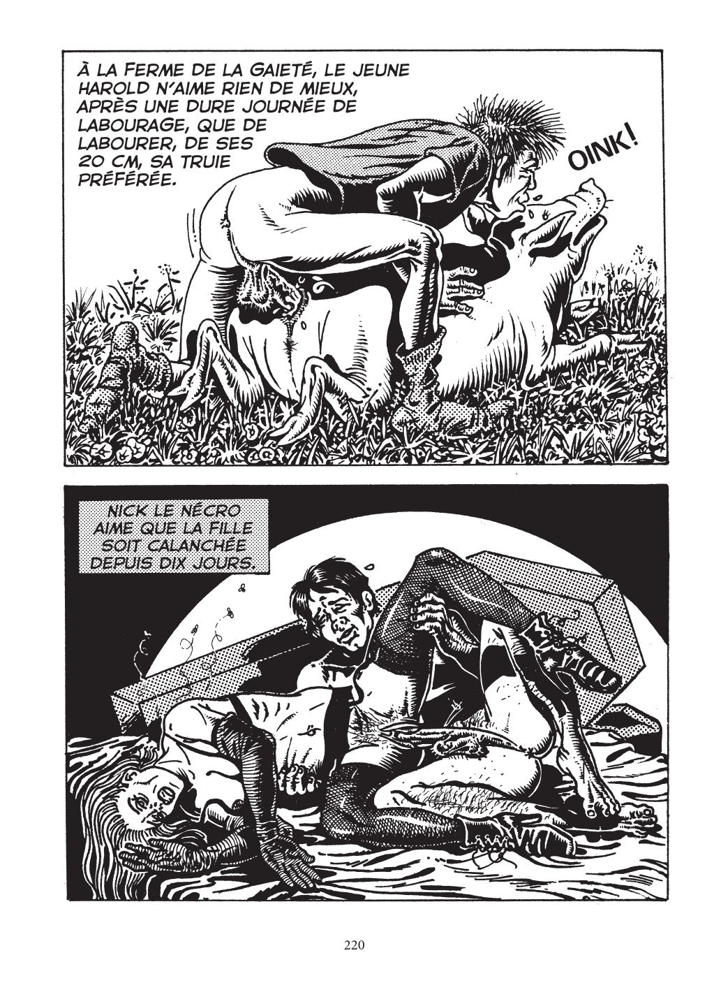 Panorama de la bande dessinee erotique clandestine numero d'image 215