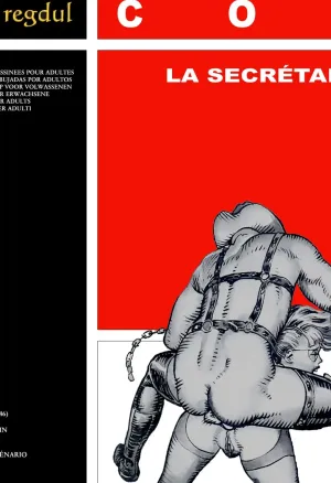 Bruno Coq  - Les aventures de Karine 2 : La Secretaire