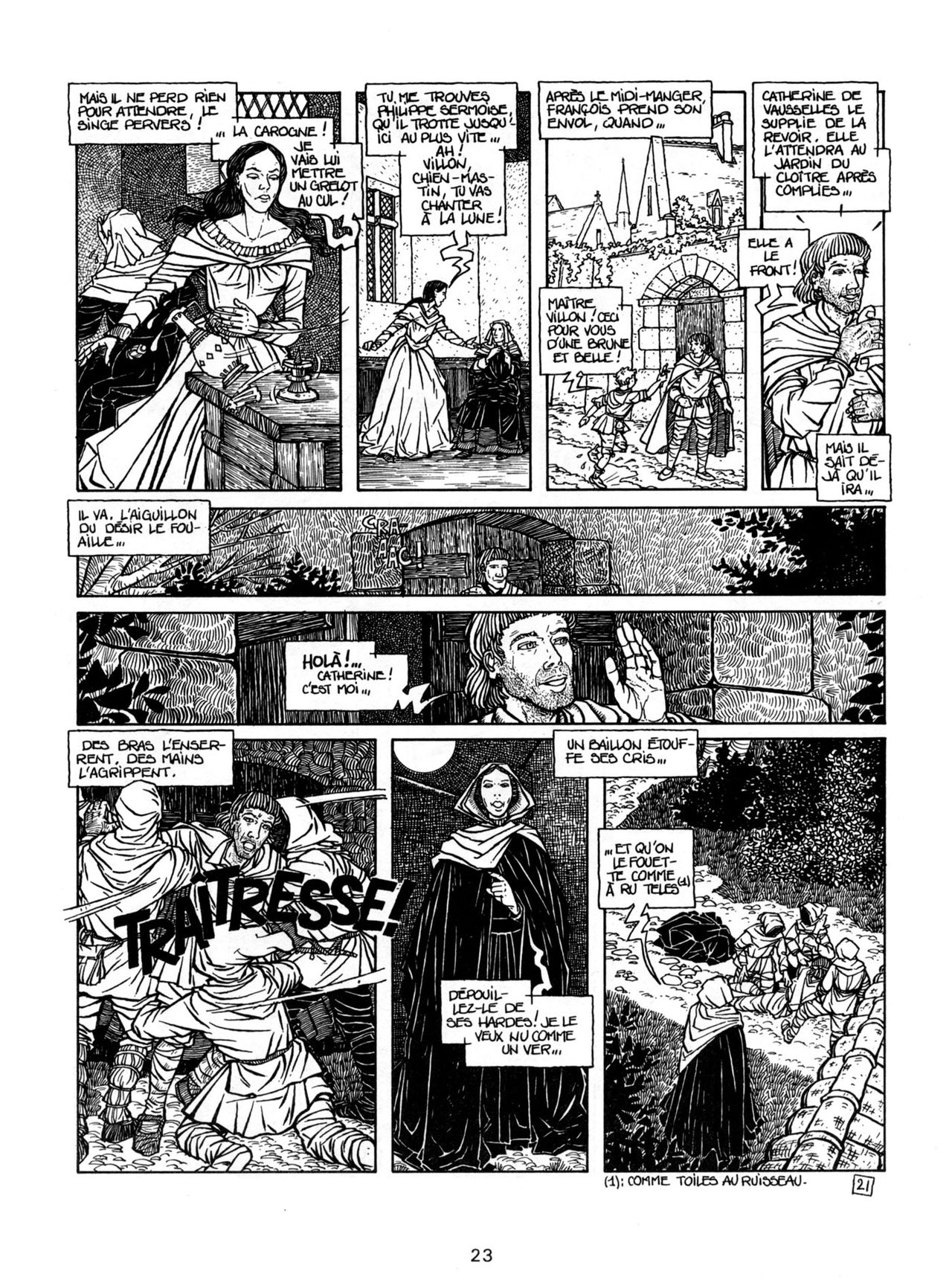 Theophraste-Marau Villon numero d'image 23