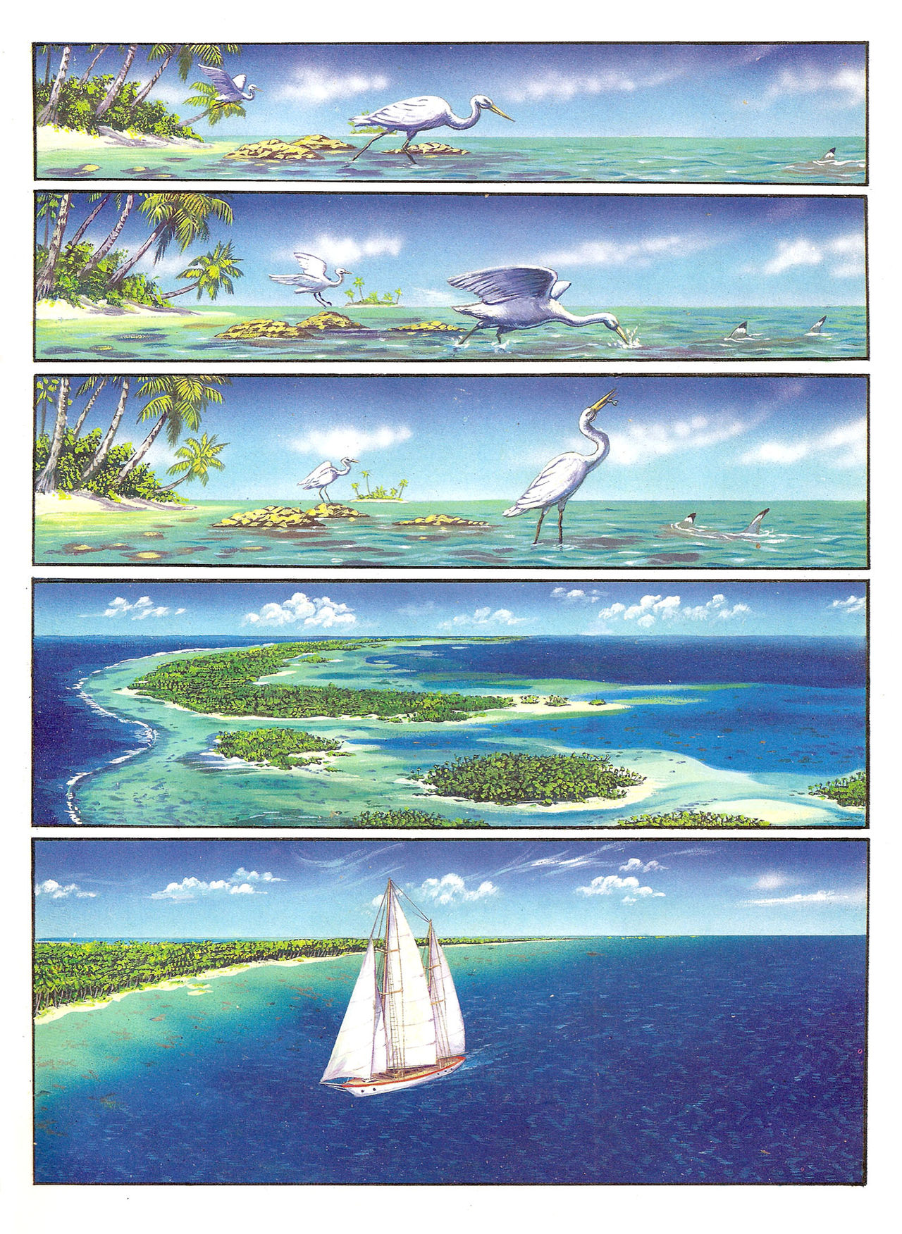 Les Aventures de Vic Voyage 04 - Le mystère des atolls numero d'image 3