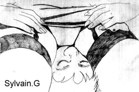 EROTIC FACE SITTING DRAWING 2 numero d'image 2
