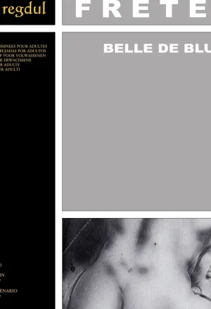 Alain Fretet - Belle de blues